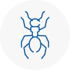 Ant Removals In Aldershot