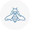 Bee Nest Removal Aldershot