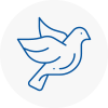 Bird Prevention Aldershot