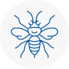 Aldershot Hornet Nest Removals