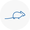 Mice Exterminators In Aldershot
