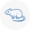 Rat Control Aldershot