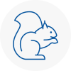 Aldershot Rodent Removals