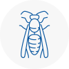 Aldershot Wasp Nest Removal